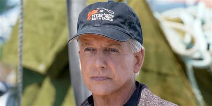 Exploring the Enduring Legacy of Mark Harmon Movies and TV Shows