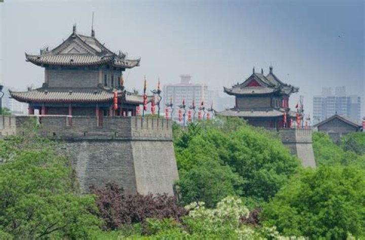 Exploring the Public Context Surrounding Xi Mingze's Biography