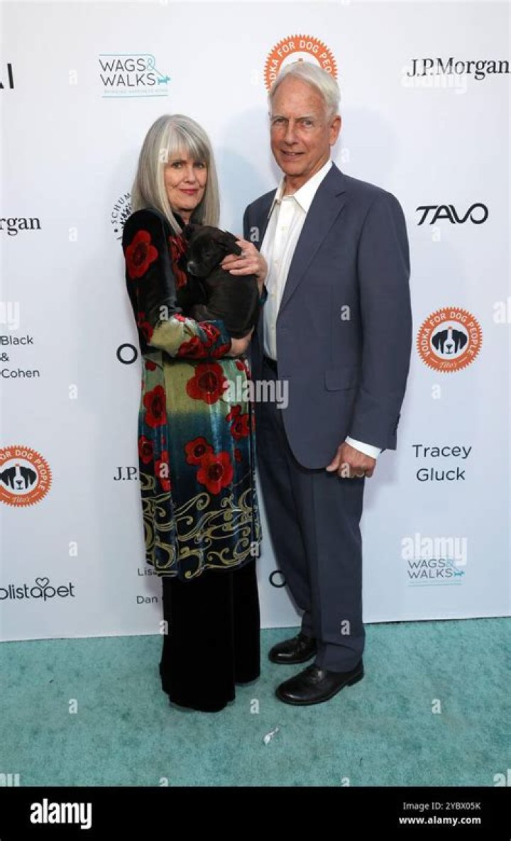 How Old Are Pam Dawber and Mark Harmon: A Look at Their Enduring Story