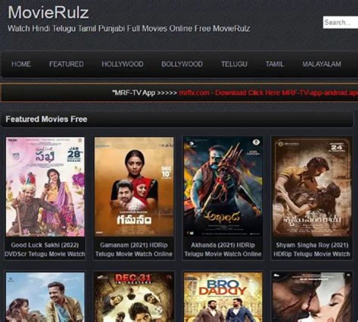 Movierulz 2023-- Download: What You Really Need to Know