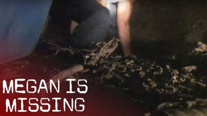 Unraveling the Mystery: Why Megan Is Missing Photo 1 and Photo 2
